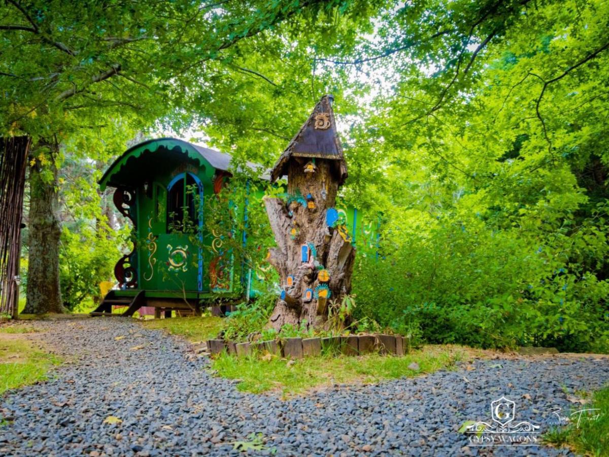 Gypsy Wagons And Vans, Clarens Zimmer foto